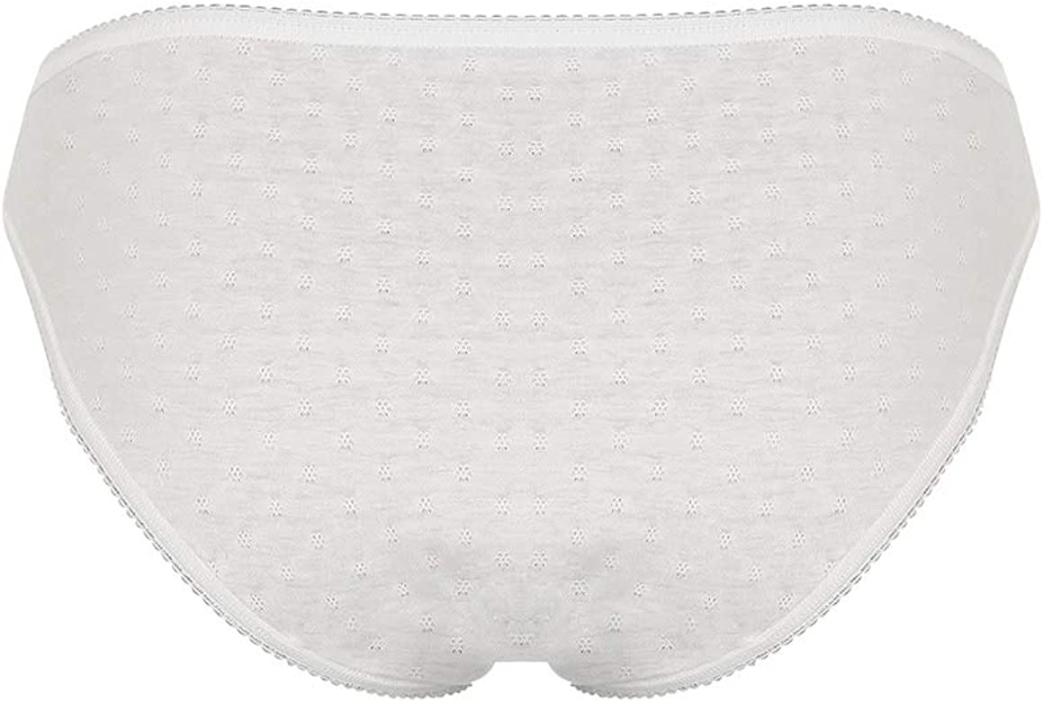 Slip Donna in Filo di Scozia Vita Normale – Ciellegi Art. 281